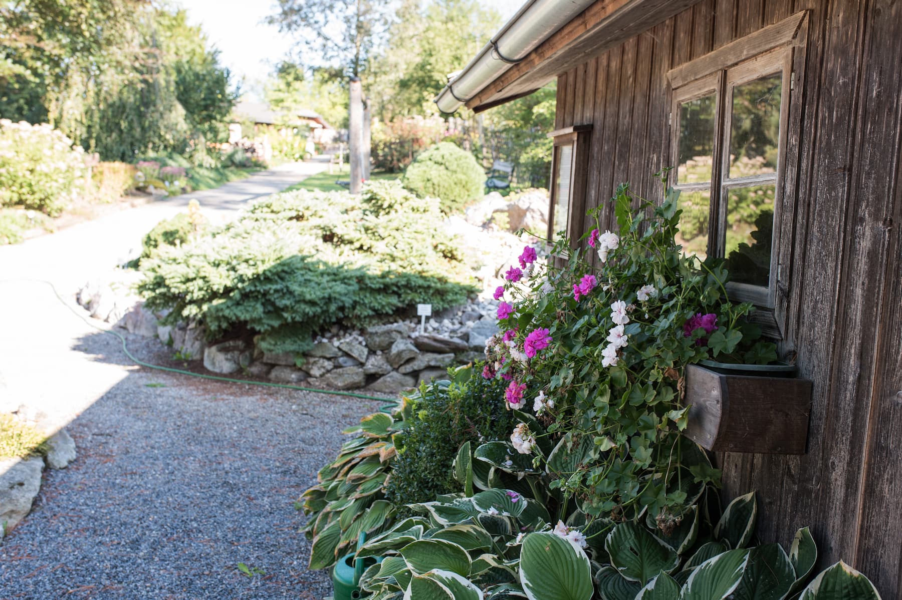 Heilkräutergarten Klaffer